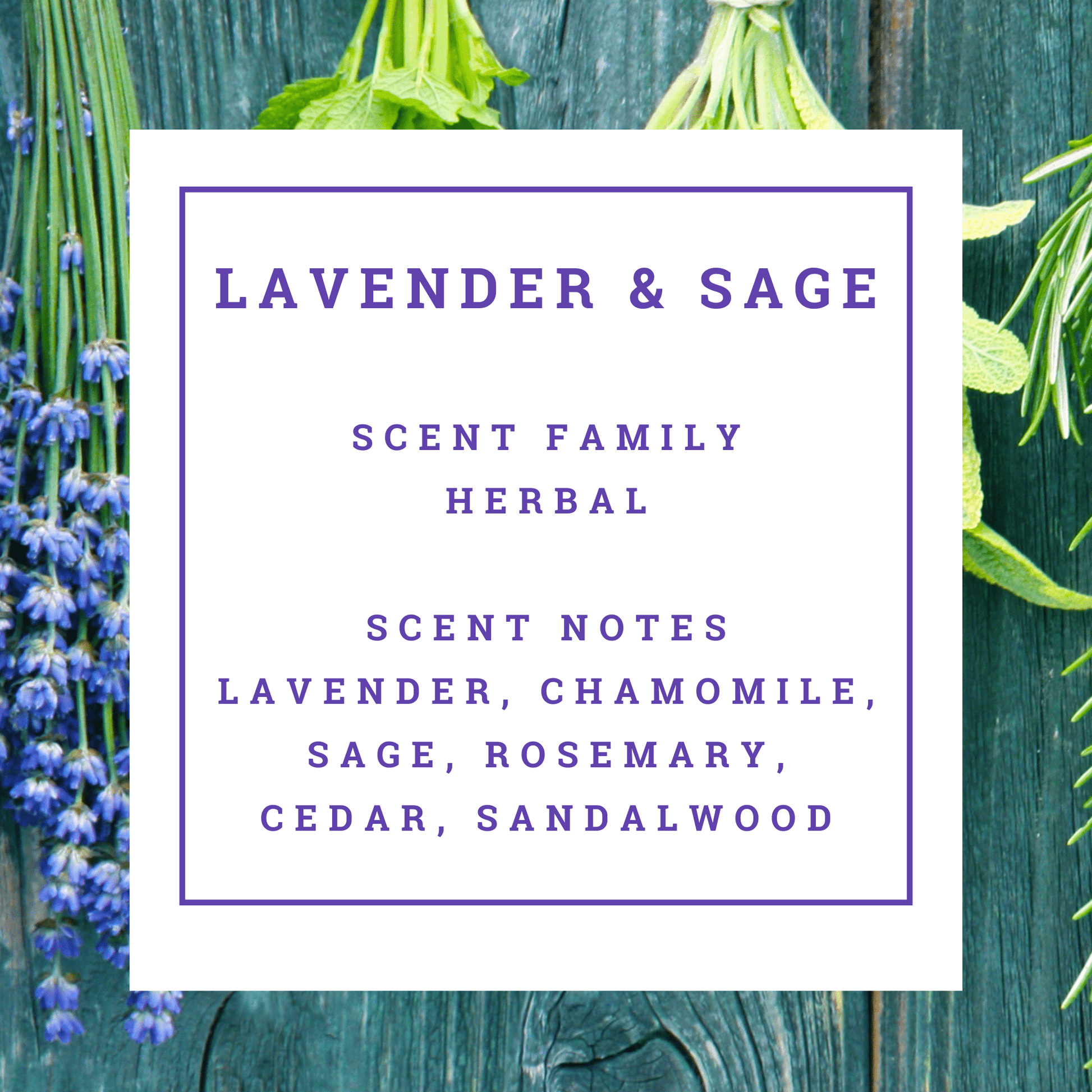 Lavender and sage with text of scent profile on a wooden background