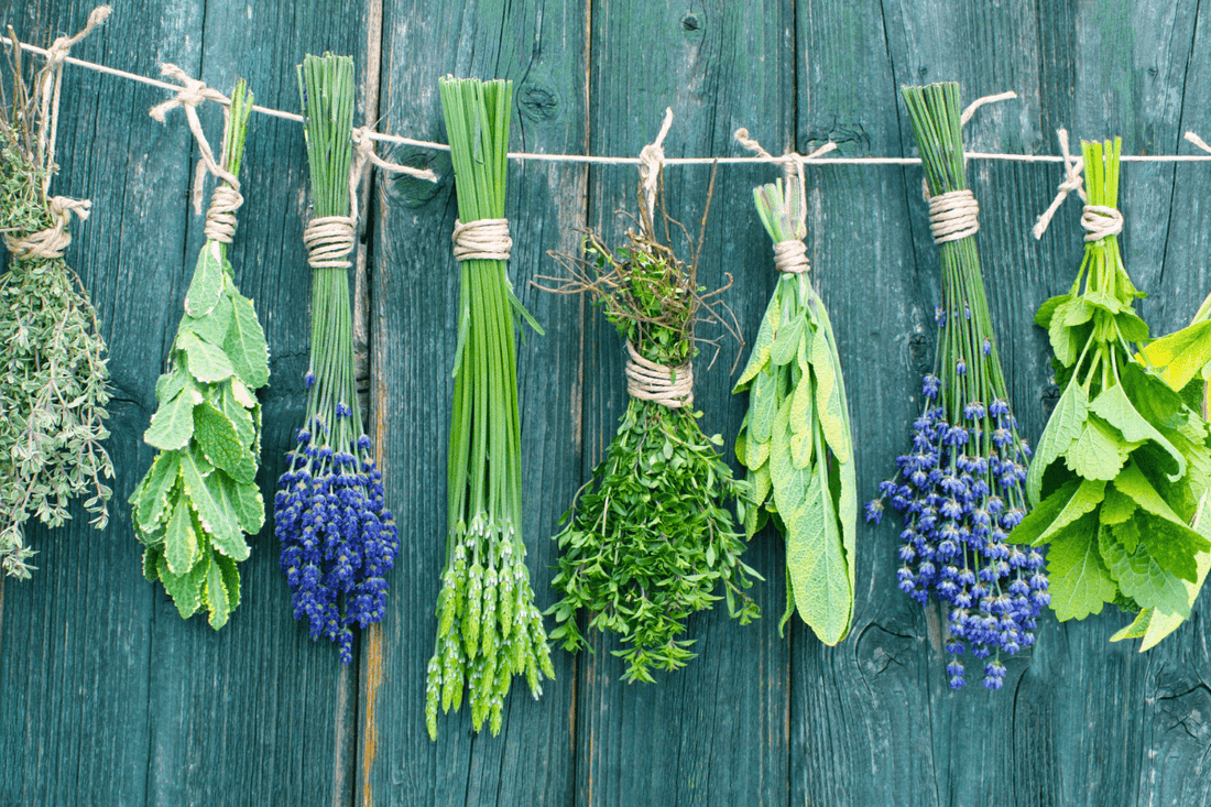 Scent Spotlight: Lavender & Sage – A Herbal Retreat for the Senses - Mitala Candle Co.