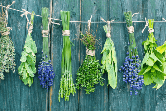 Scent Spotlight: Lavender & Sage – A Herbal Retreat for the Senses - Mitala Candle Co.