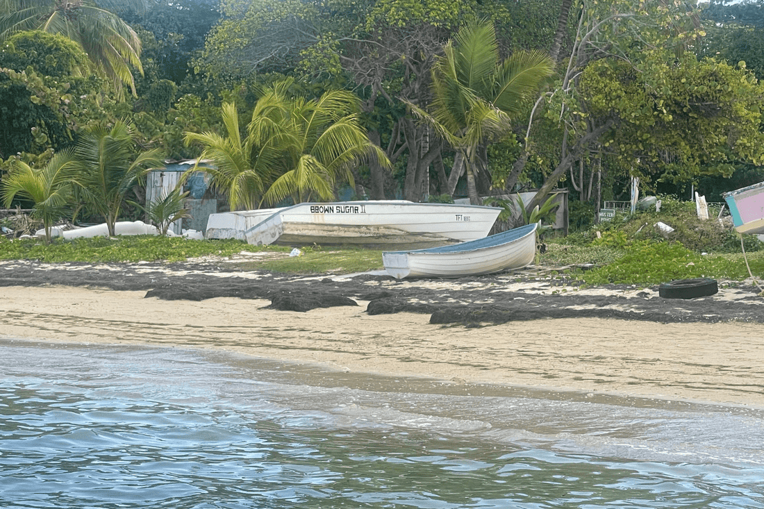Scent Spotlight: Tropical Solace – A Sun-Drenched Island Escape - Mitala Candle Co.