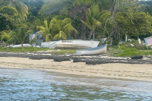 Scent Spotlight: Tropical Solace – A Sun-Drenched Island Escape - Mitala Candle Co.