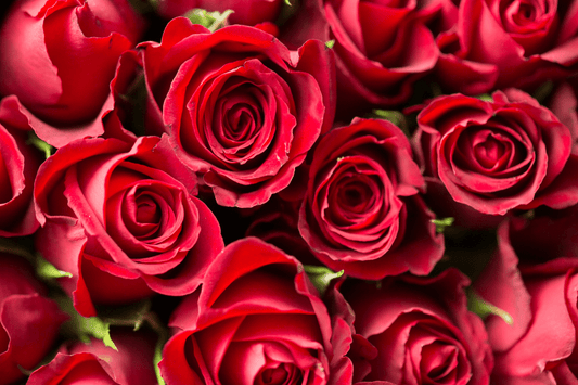 Scent Spotlight: Velvet Rose – An Elegant, Romantic Escape - Mitala Candle Co.