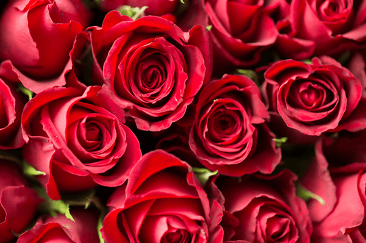 Scent Spotlight: Velvet Rose – An Elegant, Romantic Escape - Mitala Candle Co.