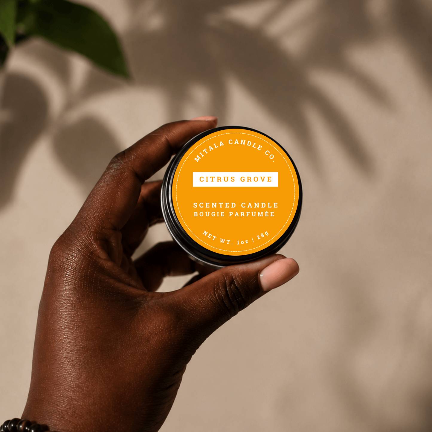 Hand holding a small citrus grove scented candle from Mitala Candle Co. against a beige background with plant shadows.