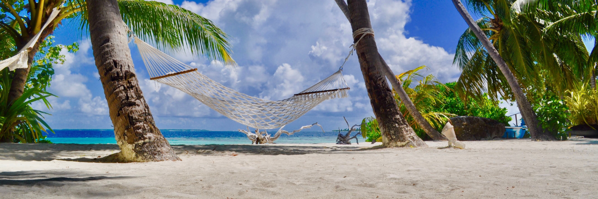 Hammock tied between palm trees on a sandy beach with turquoise ocean and blue sky in the background. Mitala Candle Co. Summer Candle Collection