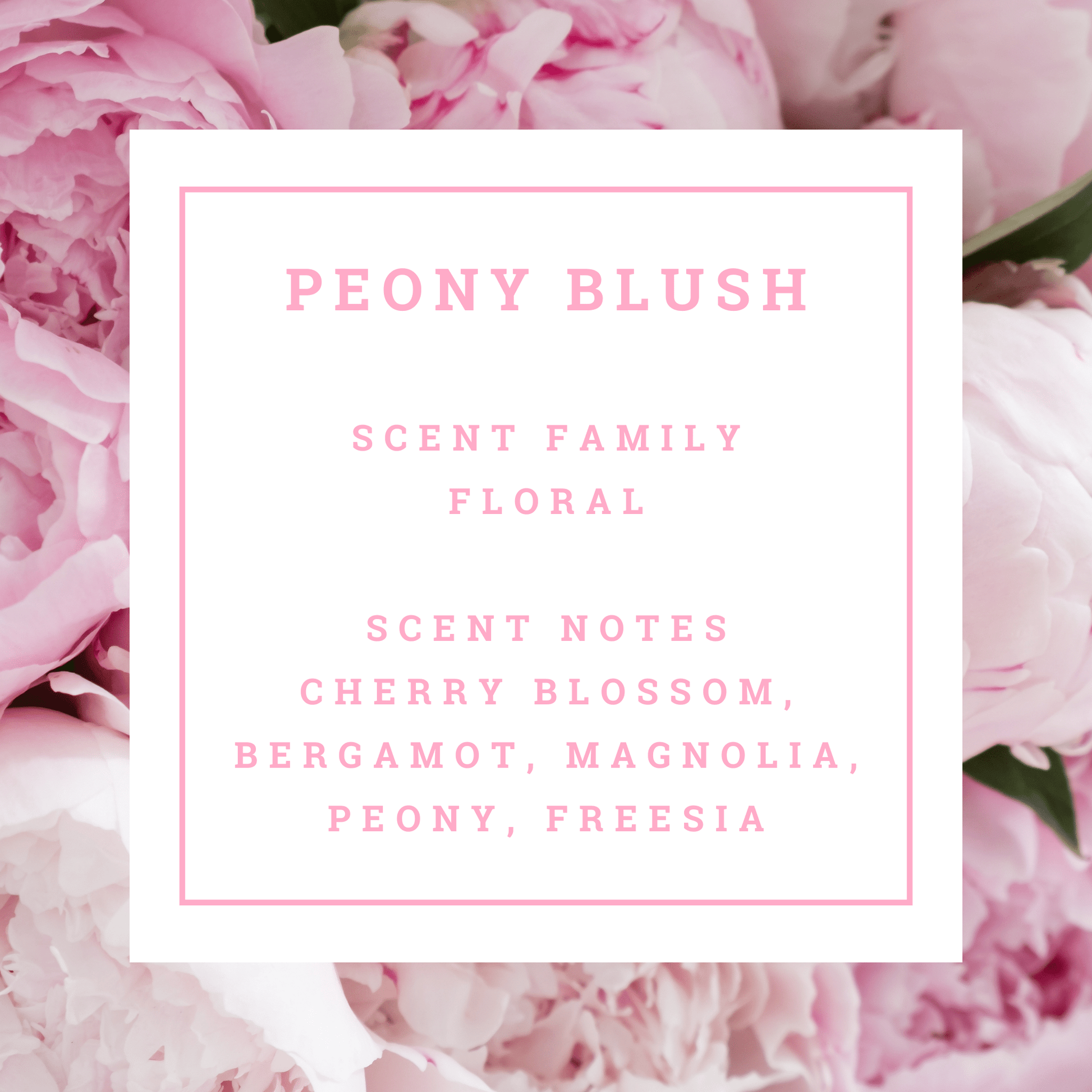 Mitala Candle Co. Peony Blush scented candle text overlay with pink peony flowers illustrating fragrance notes