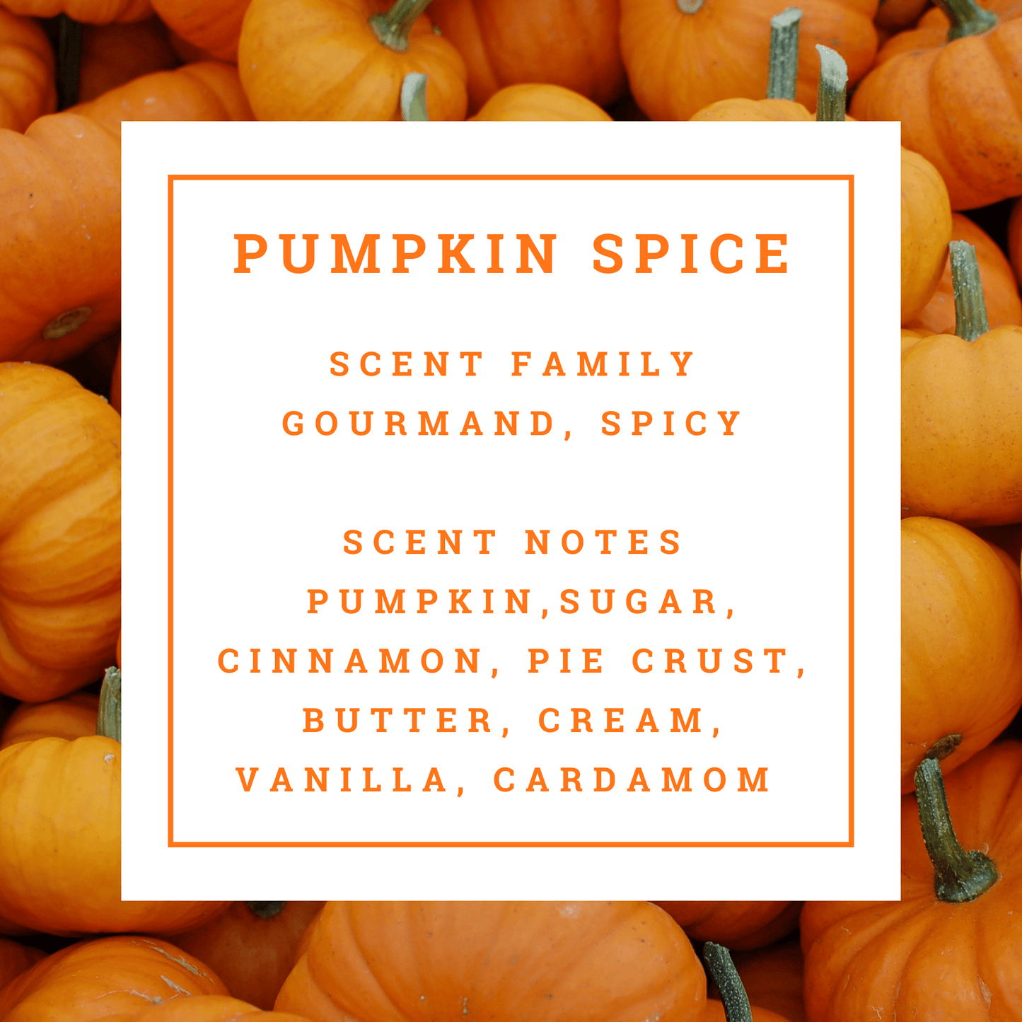 Pumpkin spice candle description scent  text overlayed on a background of pumpkins