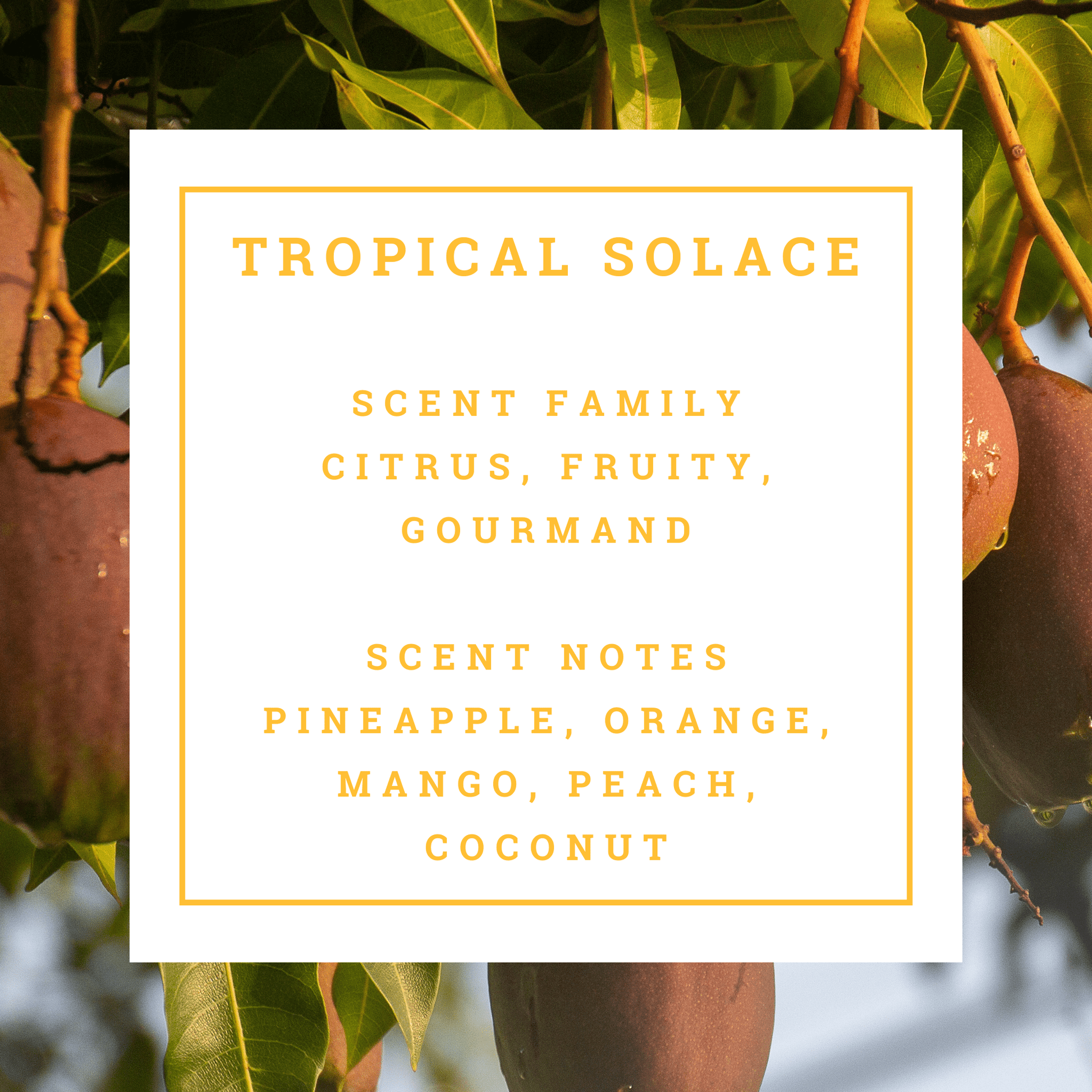 Mitala Candle Co. Tropical Solace candle text overlay with tropical fruit background